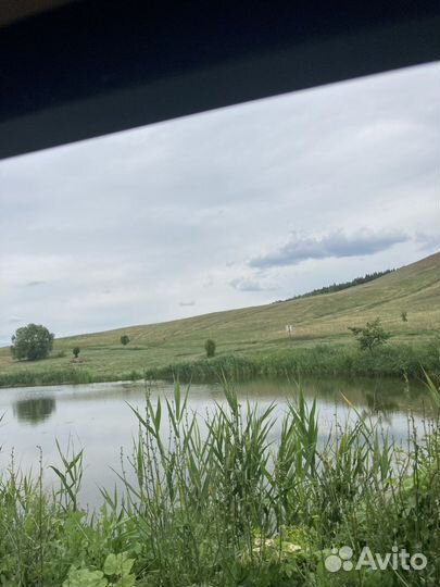 Платная рыбалка