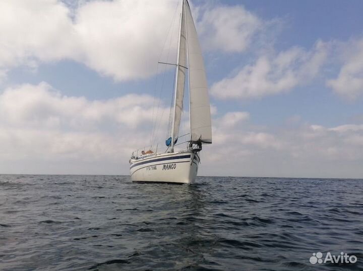 Продаю парусно-моторную яхту
