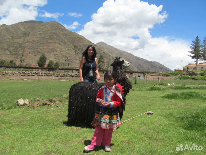 Консультации по путешествиям, поездкам за границу