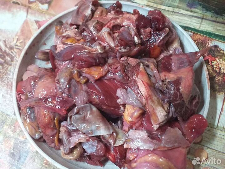 Мясо для собак(говядина)