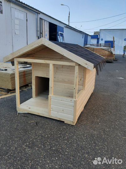 Собачья будка