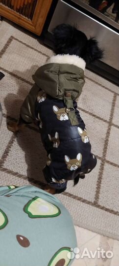 Комбинезон для маленькой собаки