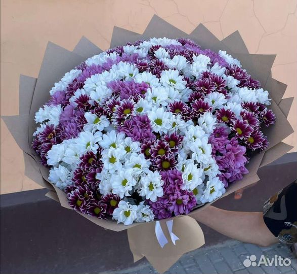 Живые цветы букеты Ромашки Кустовая хризантема