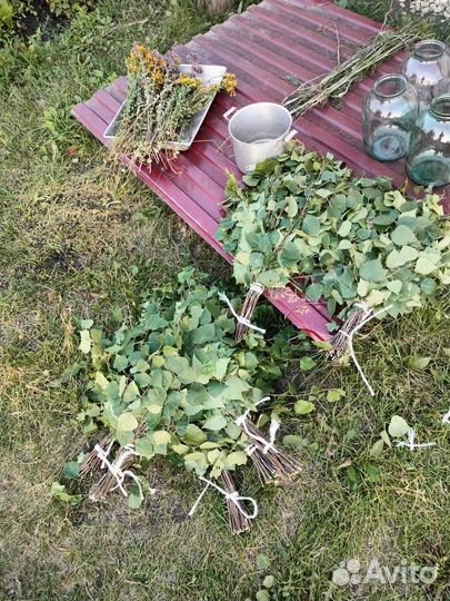 Березовые веники