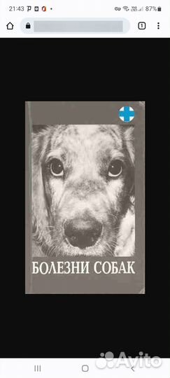 Болезни собак