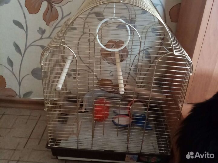 Клетка для птиц