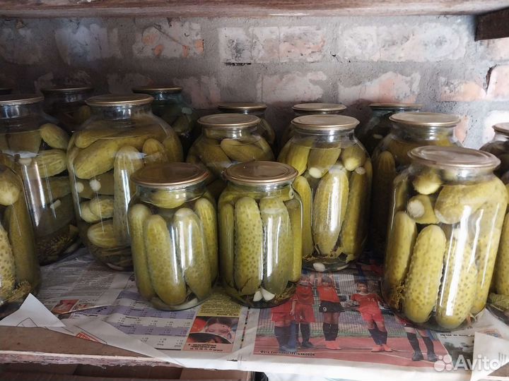 Огурцы, помидоры, салаты, калина