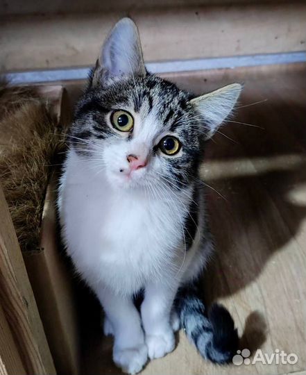 Ищу своего человека