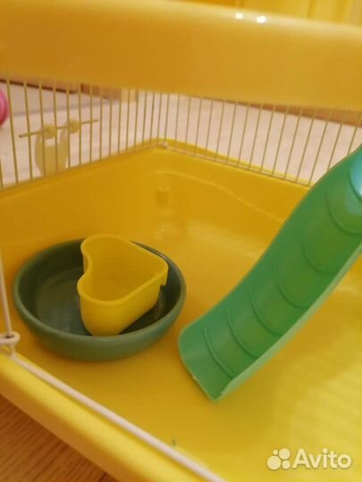 Клетка для джунгарского хомяка