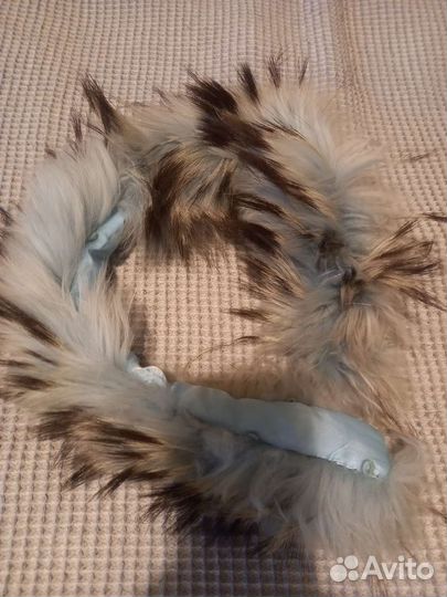 Песец опушка