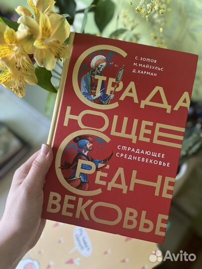 Книга Страдающее средневековье