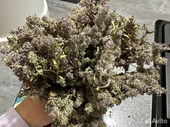 Набор для творчества