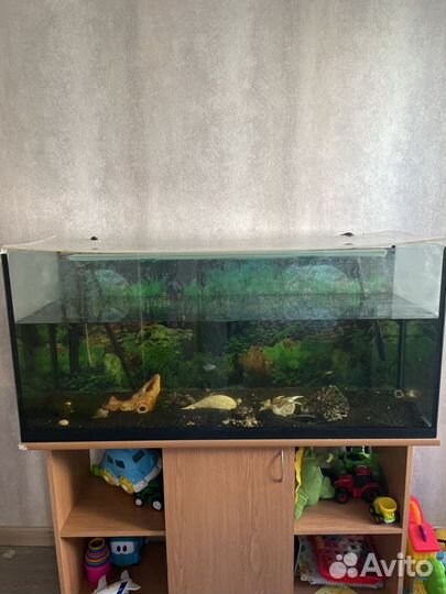 Аквариум с тумбой 240 литров
