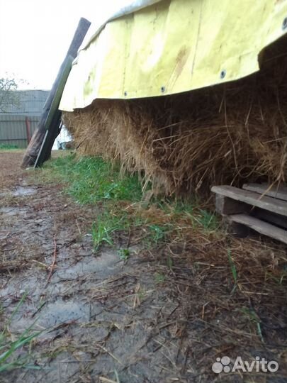 Сено в тюках