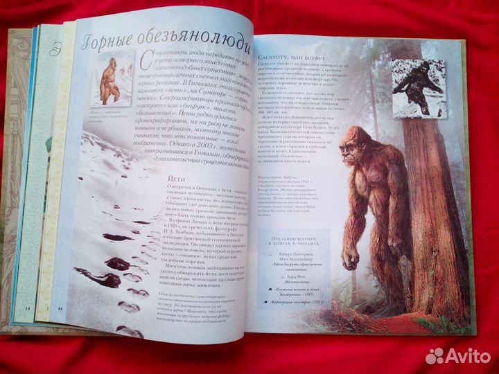 Фэнтези энциклопедия