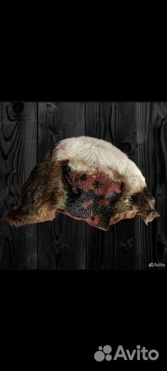 Лакомства для собак