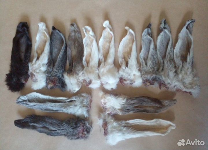 Сушеные лакомства для собак