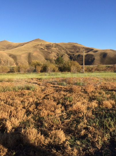 Участок 8 сот. (ИЖС)