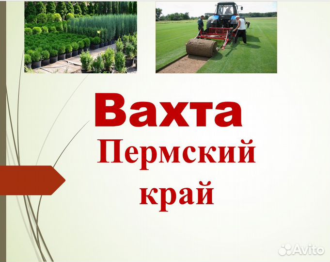 Подсобный рабочий вахта
