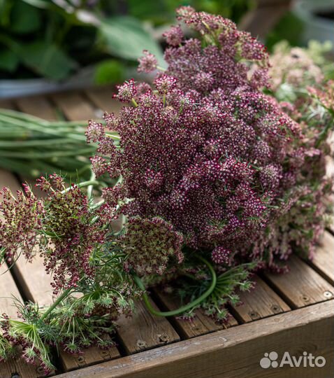 Фермерские цветы на срез