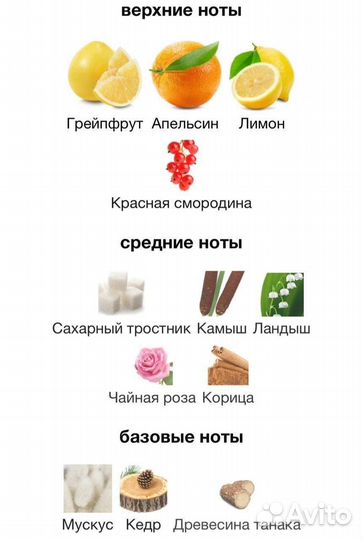 Cheap & Chic I Love Love Moschino