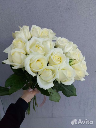 Розы цветы с доставкой