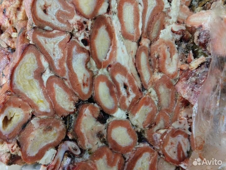 Корм для собак