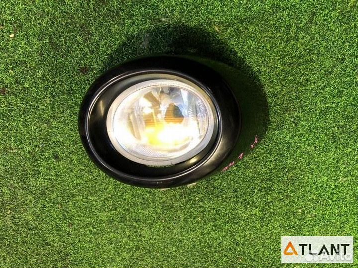 Туманка передняя правая honda life dunk