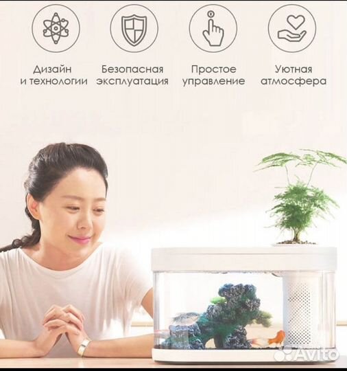 Акваферма xiaomi