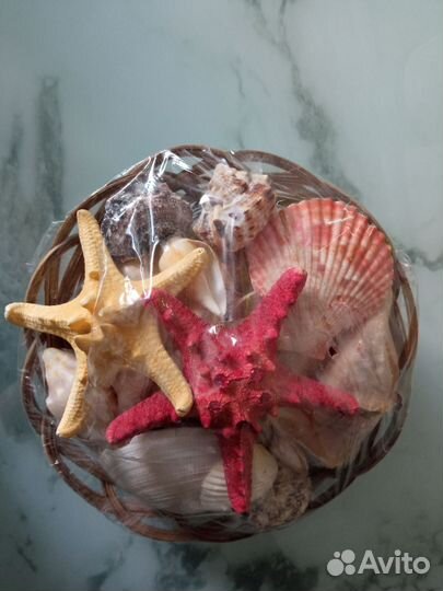 Набор ракушек