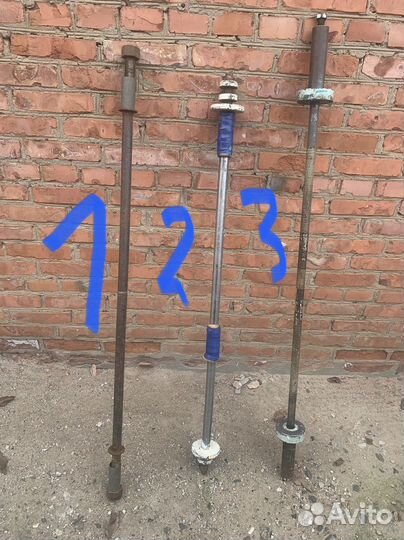 Грифы, блины