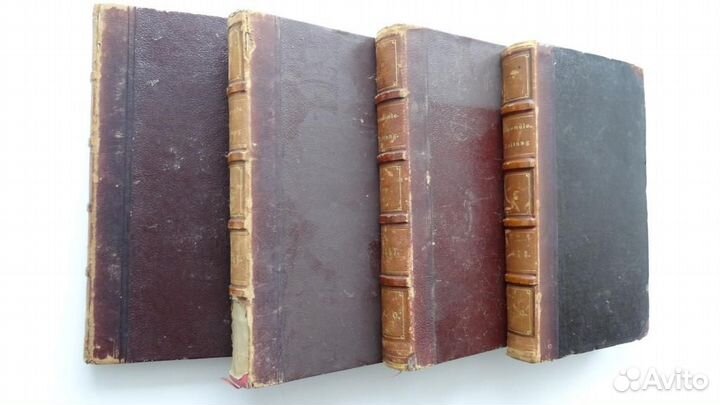 Энтомологическая газета 1855, 1856, 1857, 1858 гг