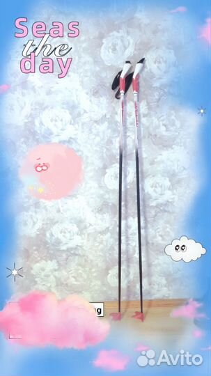 Лыжные палки Larsen и ботинки Nordic Norm