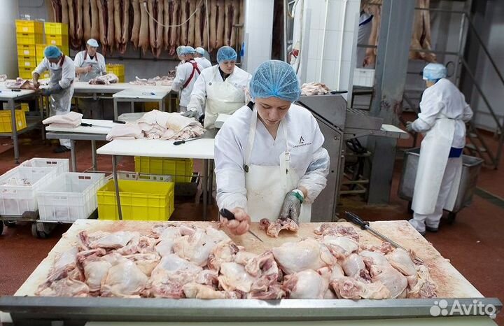 Работа обвальщик мяса / вахта