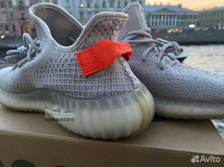 Кроссовки Adidas Yeezy Boost 350 v2 Tail Light