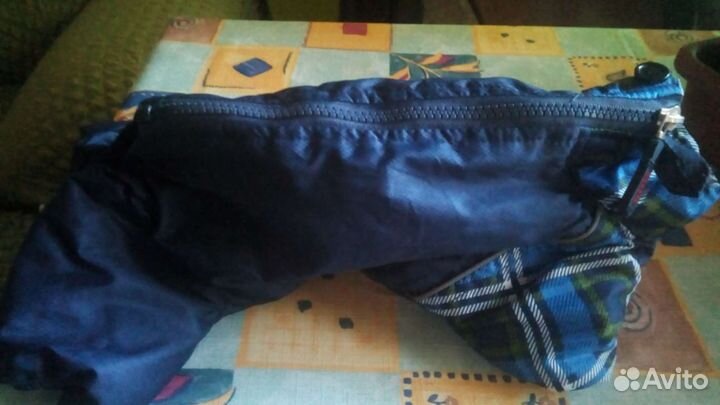 Комбинезон для мелкой собачки