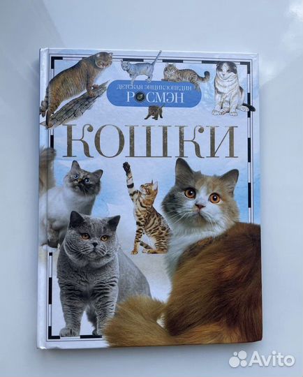 Энциклопедия