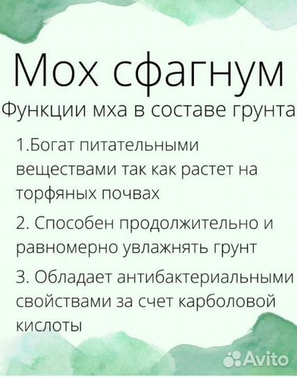 Мох сфагнум живой