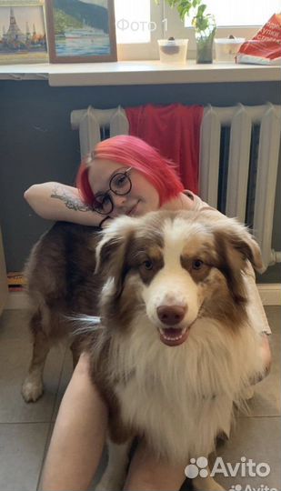 Зоопсихолог-кинолог