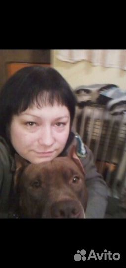 Домашняя передержка