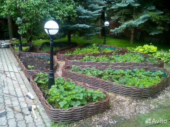 Полимерная лоза