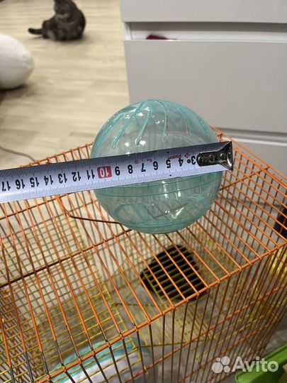 Шарик для хомяка