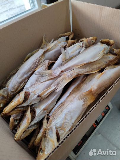 Вяленная рыба