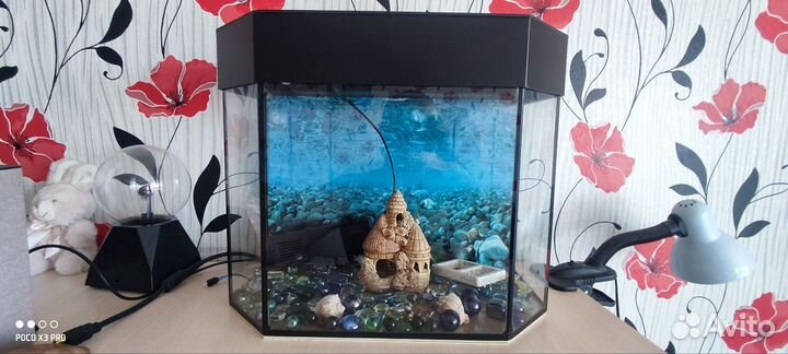 Аквариум