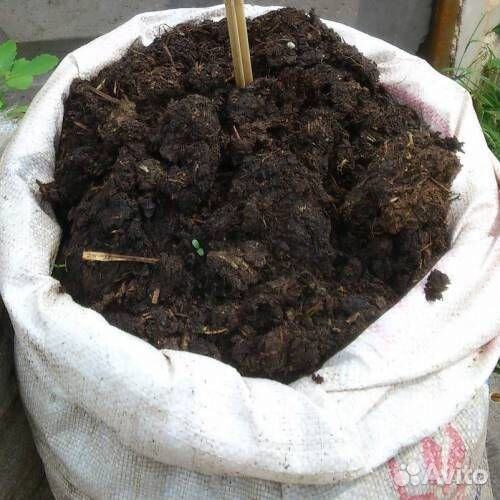 Коровий навоз в мешках 50л