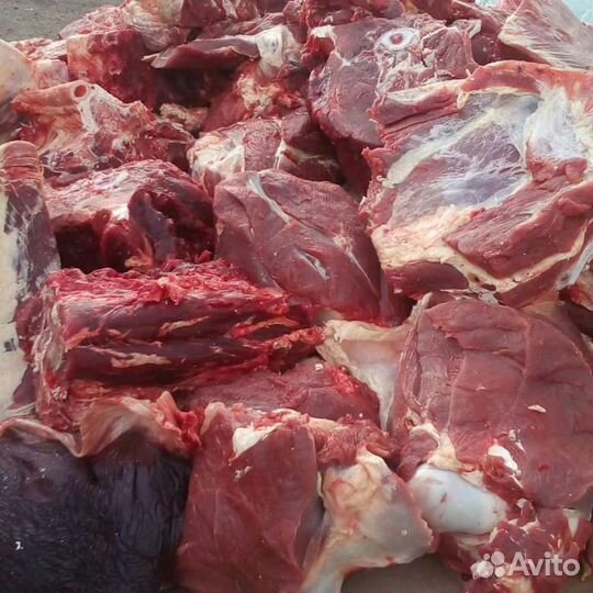 Мясо говядины