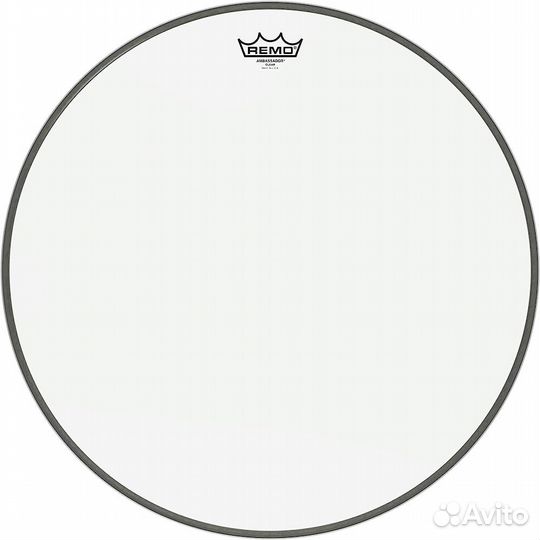 Remo ambassador, Clear, 20