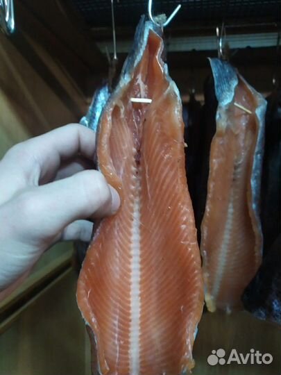 Живая радужная форель