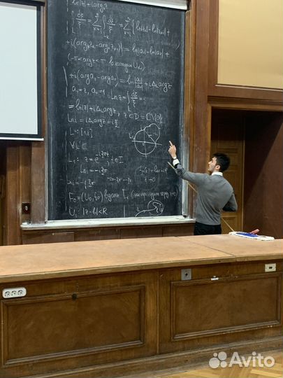 Репетитор по профильной математике из МГУ