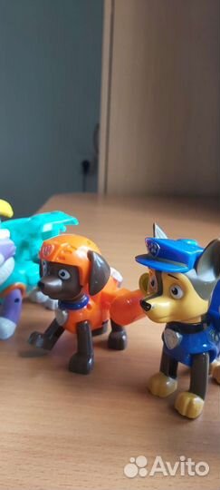 Набор щенков 